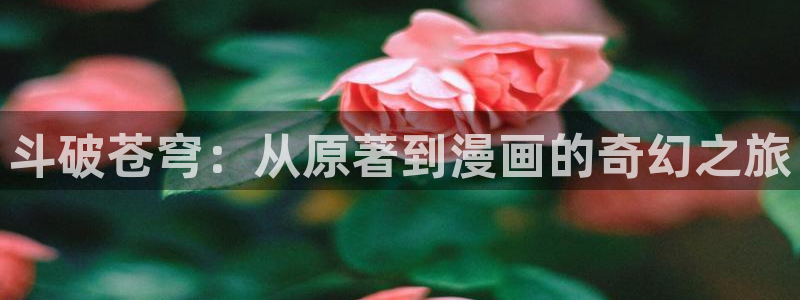 排球少年漫画免费阅读包子漫画：斗破苍穹：从原著到漫画的奇幻之旅