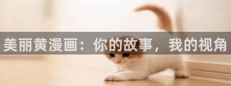 我独自升级包子漫画：美丽黄漫画：你的故事，我的视角