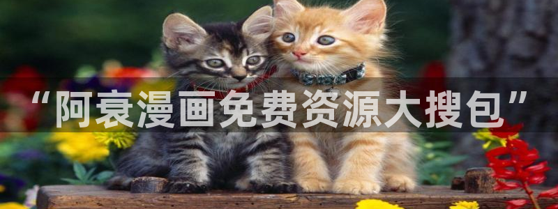 包子漫画免费版：“阿衰漫画免费资源大搜包”